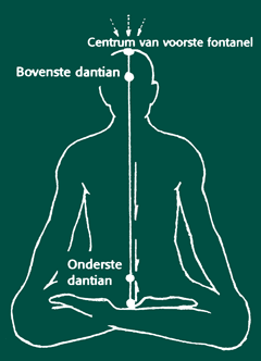 grote circulatie